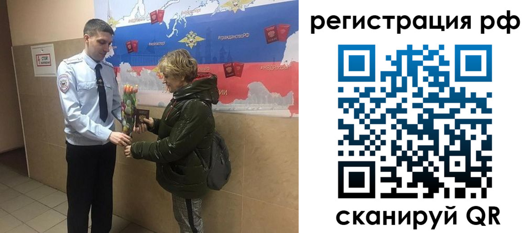 прописка 2025 в Жукове